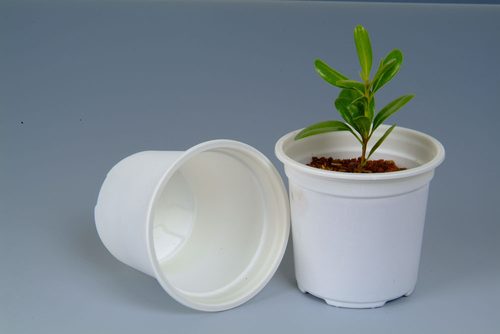 【綠色環(huán)保 生物降解 淀粉基塑料 可制作紙巾盒】?jī)r(jià)格,廠家,圖片,其他通用/工程塑料,江蘇錦禾高新科技股份有限公司銷售部