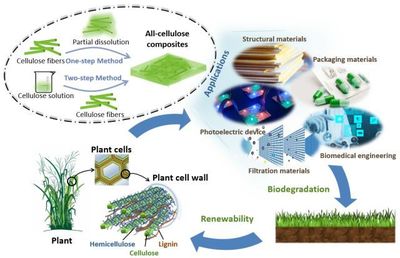 論文推薦丨基于&ldquo;自增強(qiáng)&rdquo;作用的全纖維素復(fù)合材料