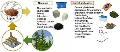 prog. poly. sci.綜述 生物基高分子材料 結(jié)合化學(xué)合成與材料加工
