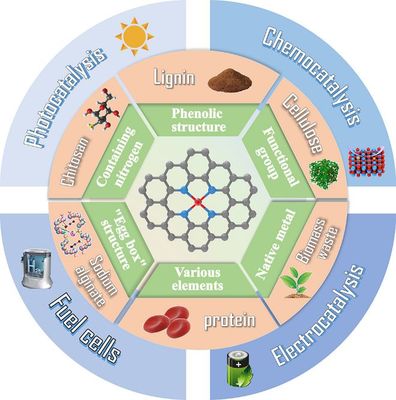 天津科技大學(xué)司傳領(lǐng)、王冠華等Adv. Colloid Interfac.綜述: 生物質(zhì)衍生碳基單原子催化劑的制備及應(yīng)用