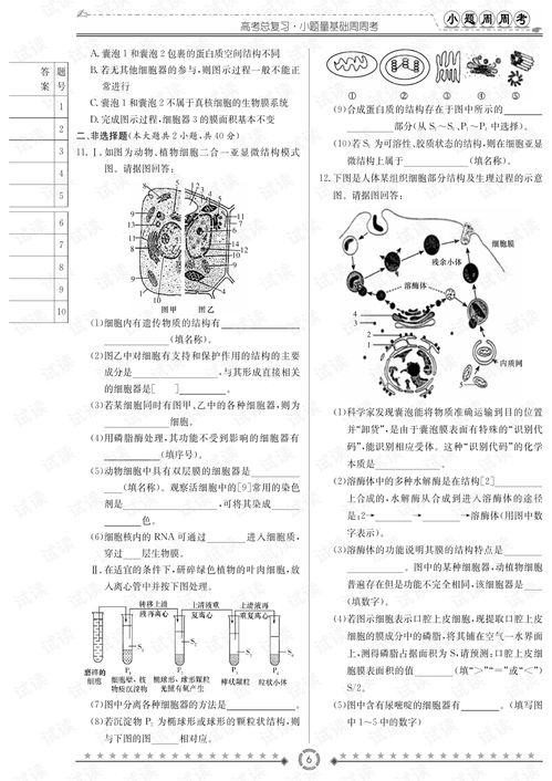 精品資料系列2021 高中生物小題量基礎(chǔ)周周考.pdf