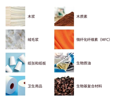 書(shū)贊桉諾堅(jiān)持產(chǎn)品創(chuàng)新:助力低碳經(jīng)濟(jì)的蓬勃發(fā)展與戰(zhàn)略轉(zhuǎn)型