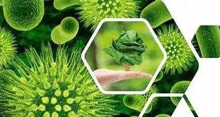 生物質(zhì)材料 綠色未來的基石——生物化工產(chǎn)品技術研發(fā)